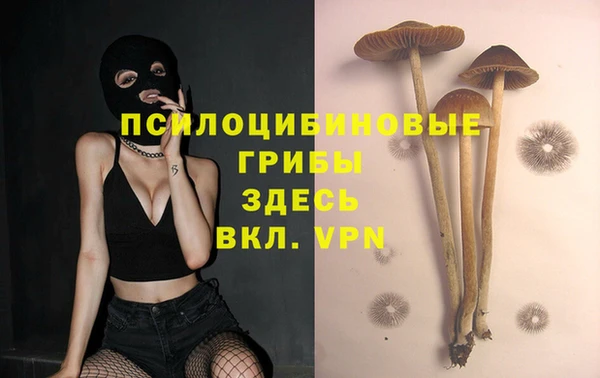 MDMA Алексеевка