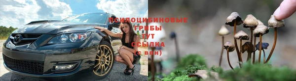 spice Абдулино