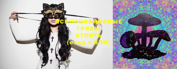 трава Абаза