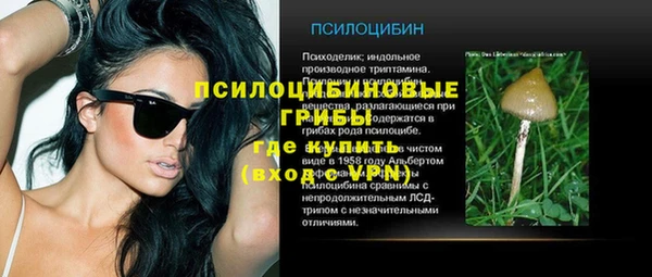 трава Абаза