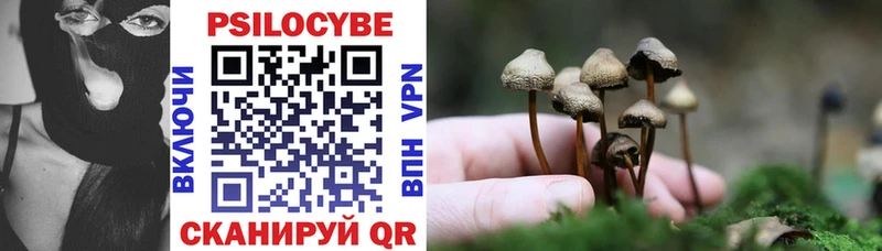 Галлюциногенные грибы прущие грибы купить наркоту Тюмень
